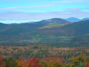 A landscape image of the bartlett experimental forest in nh.